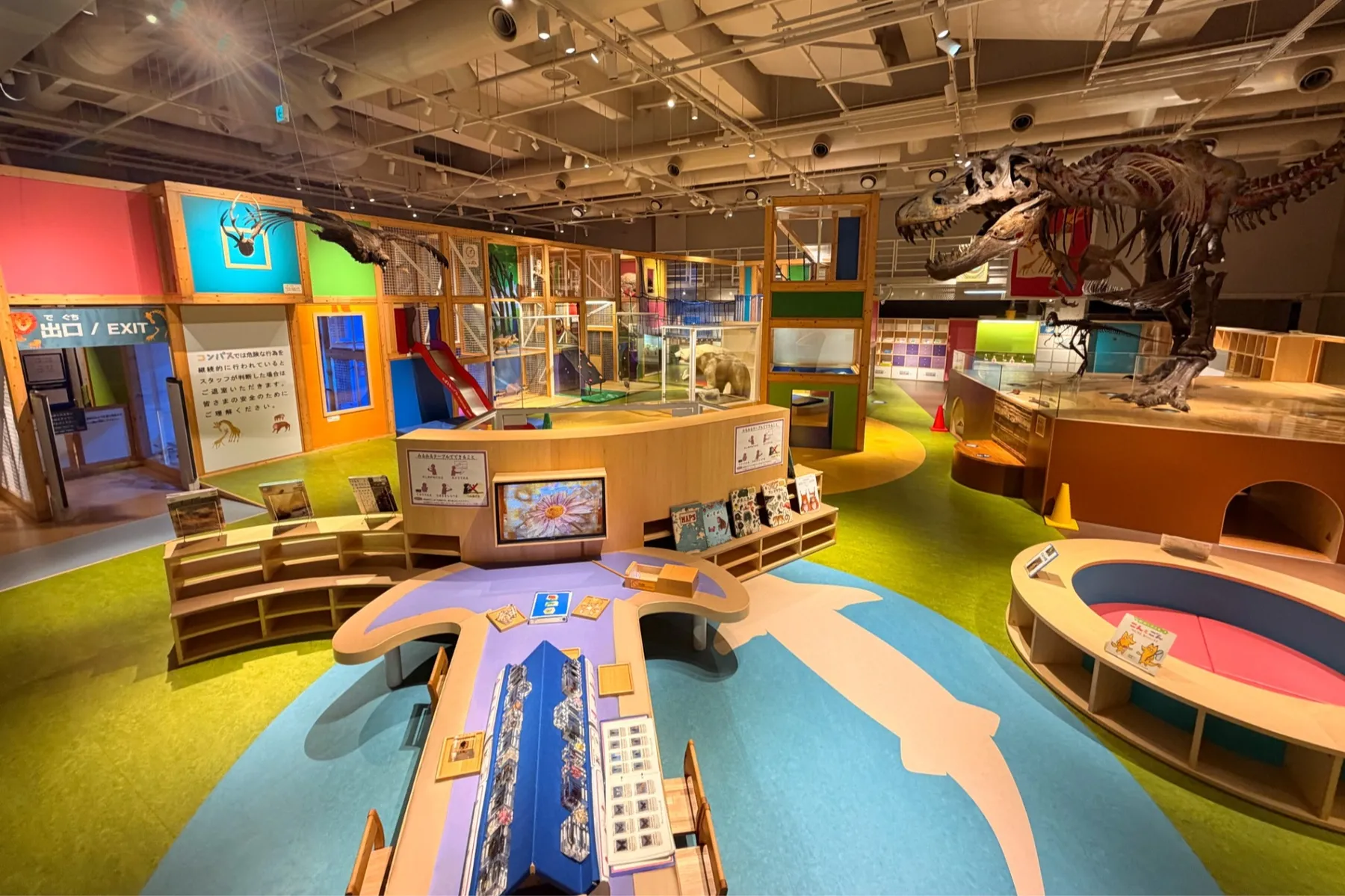 ▲提供：国立科学博物館（コンパス 全景）