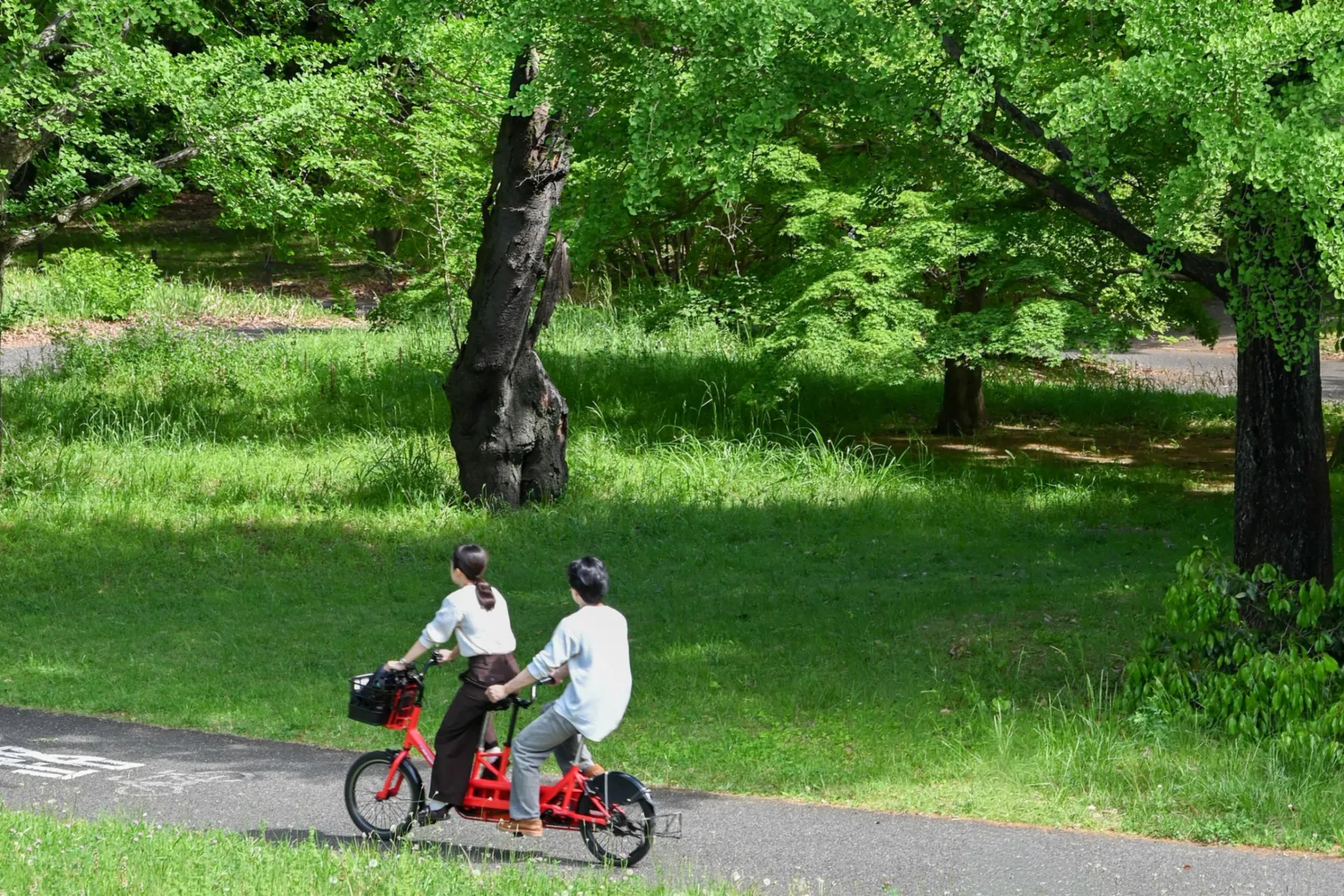 ▲ダンデム自転車