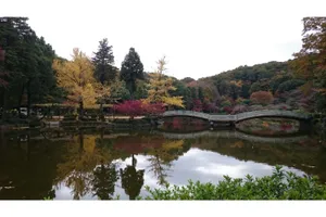 薬師池公園