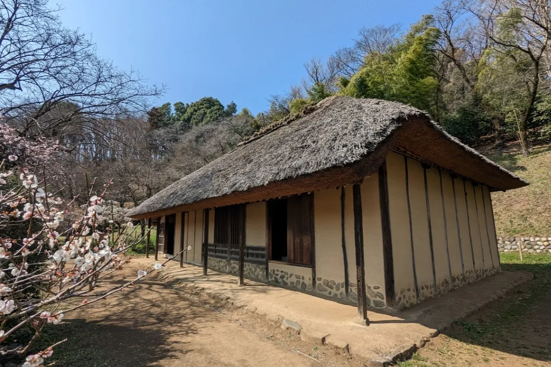 薬師池公園_7
