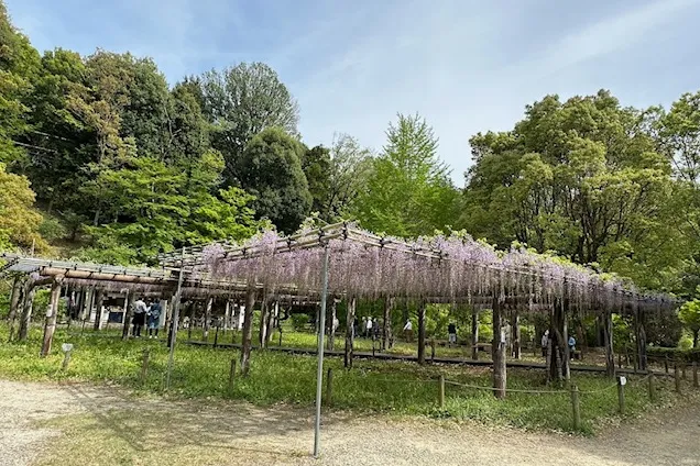 薬師池公園_6