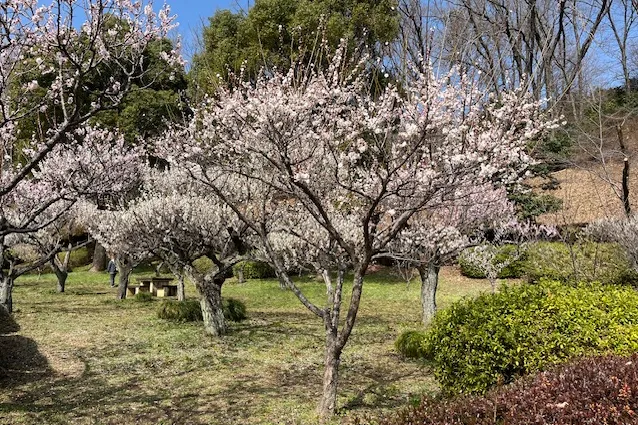 薬師池公園_4