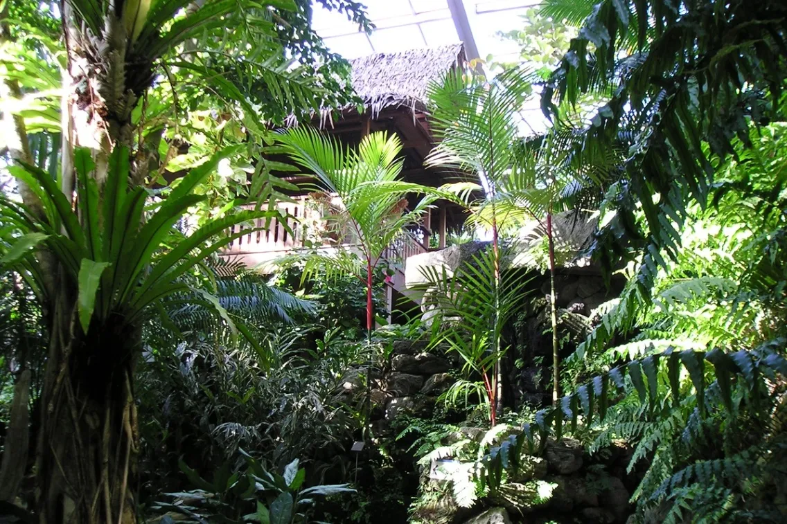 板橋区立熱帯環境植物館（ねったいかん）_2
