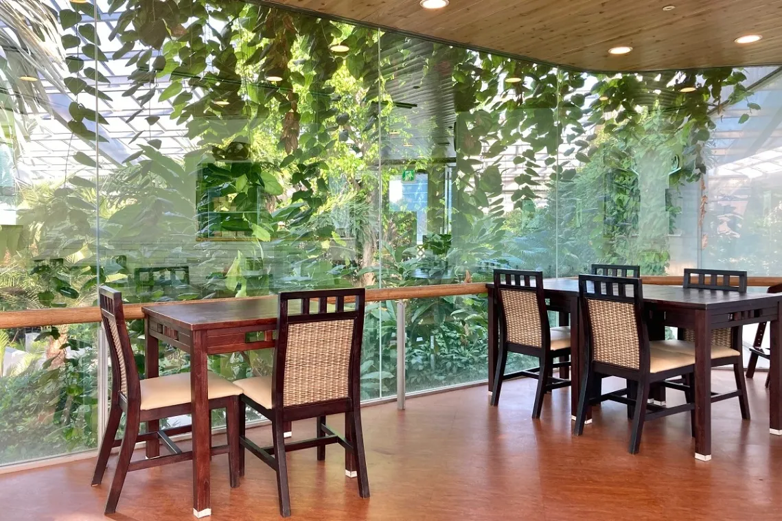 板橋区立熱帯環境植物館（ねったいかん）_6