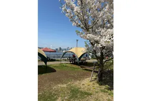 豊洲ぐるり公園手ぶらBBQ広場