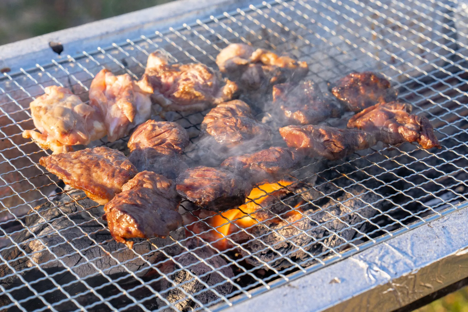 豊洲ぐるり公園手ぶらBBQ広場_5