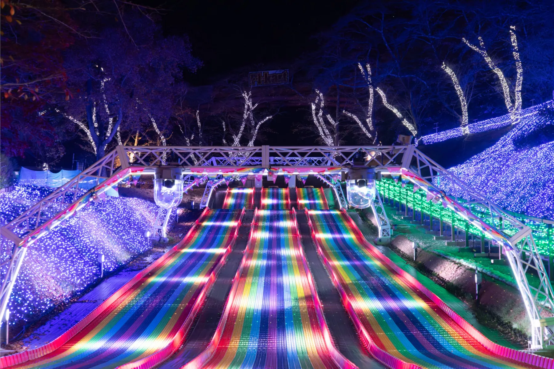 さがみ湖MORI MORI_8