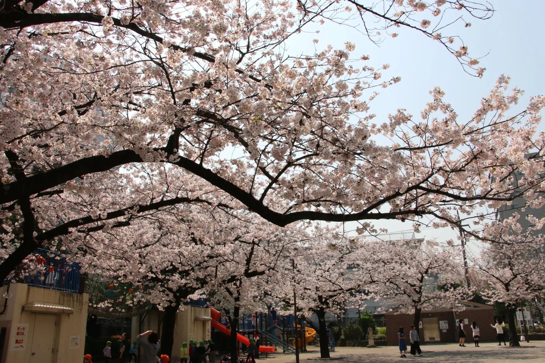 日暮里南公園_5