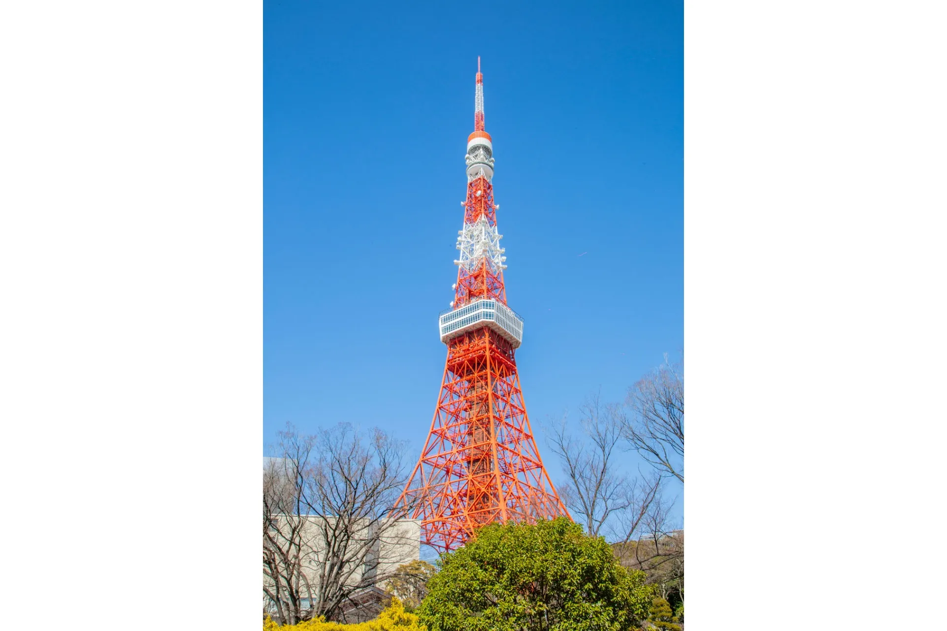 東京タワー｜偏愛東京