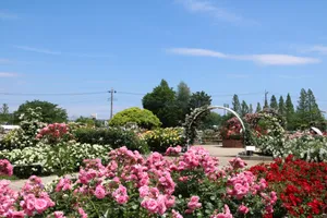 伊奈町制施行記念公園