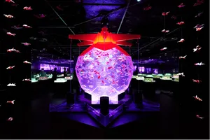 アートアクアリウム美術館 GINZA