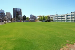町田シバヒロ