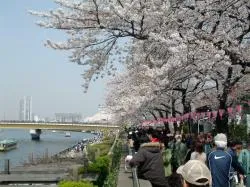墨田区立隅田公園