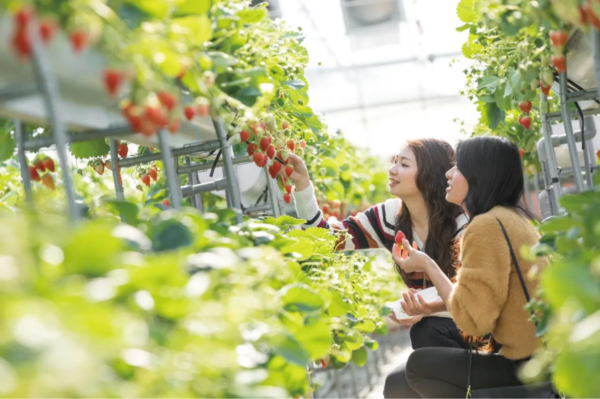 山梨FUJIフルーツパーク_1