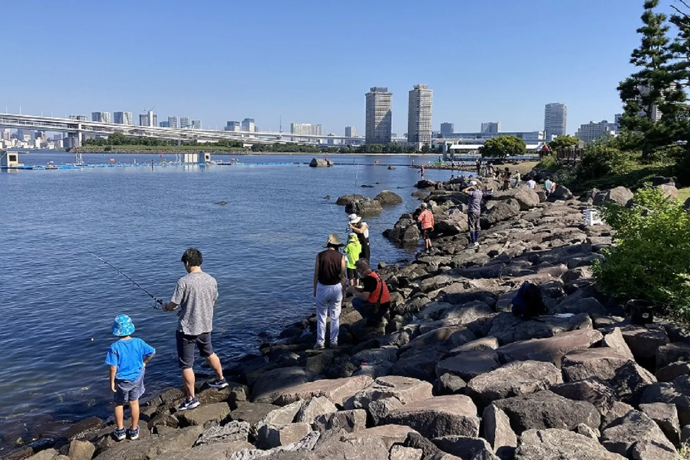 お台場海浜公園_8