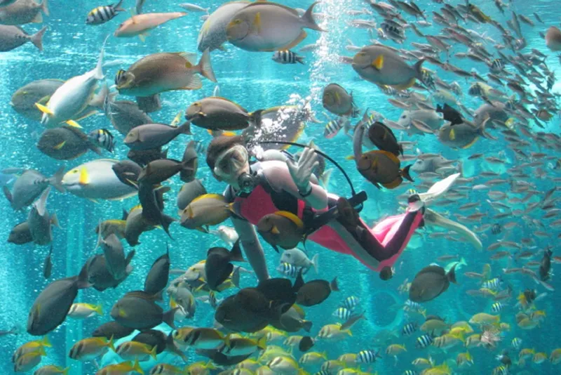 箱根園水族館_3