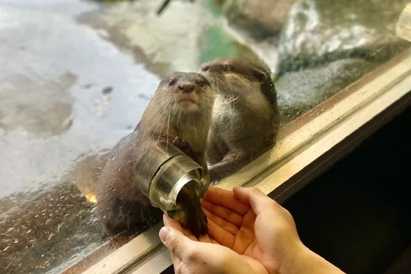 箱根園水族館_4
