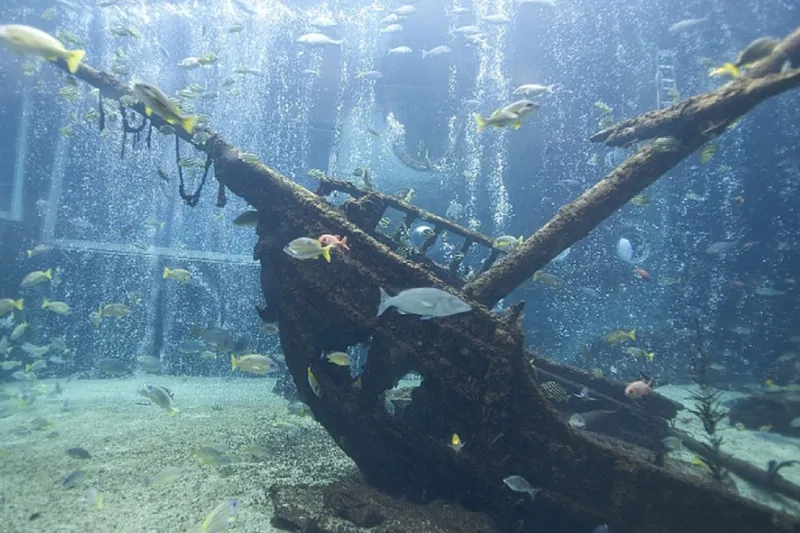 箱根園水族館_5