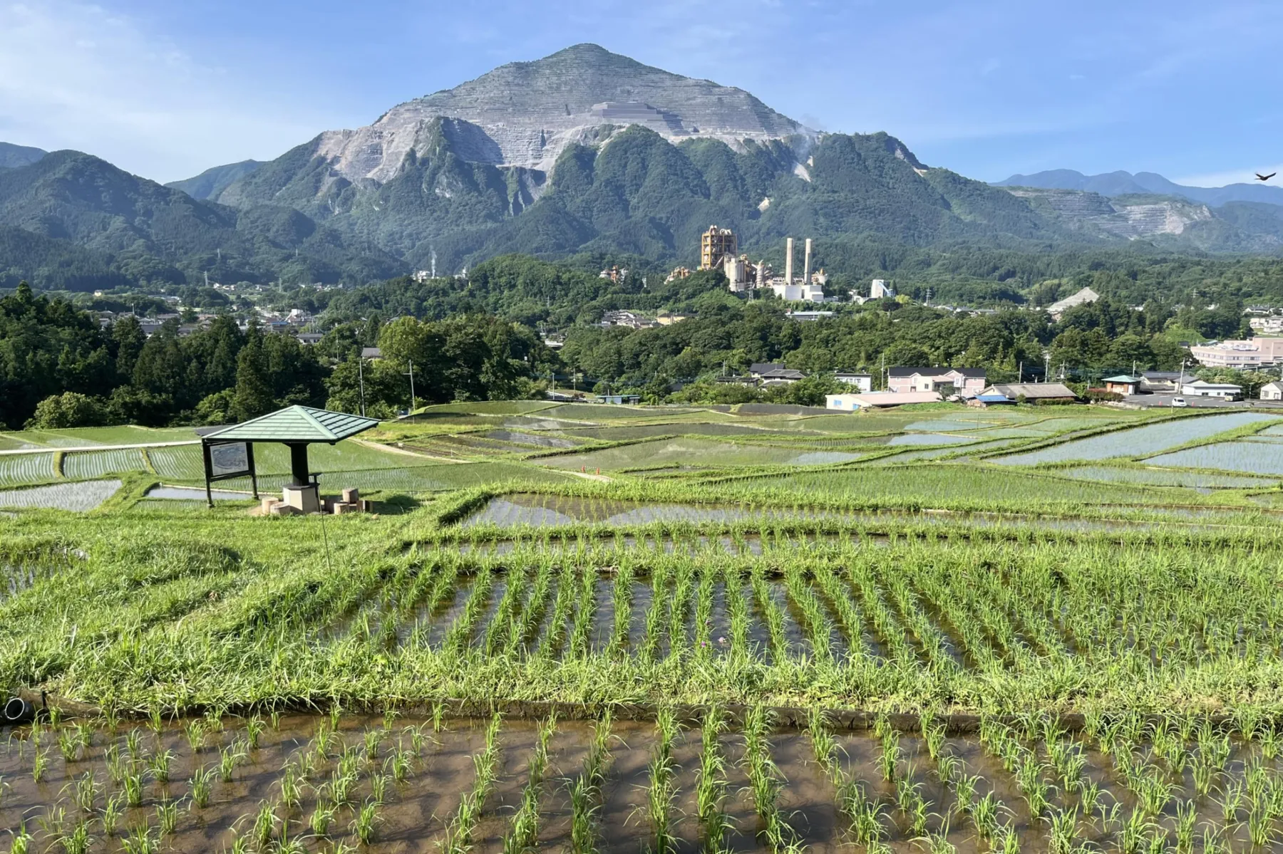 武甲山_1