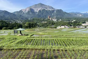 武甲山