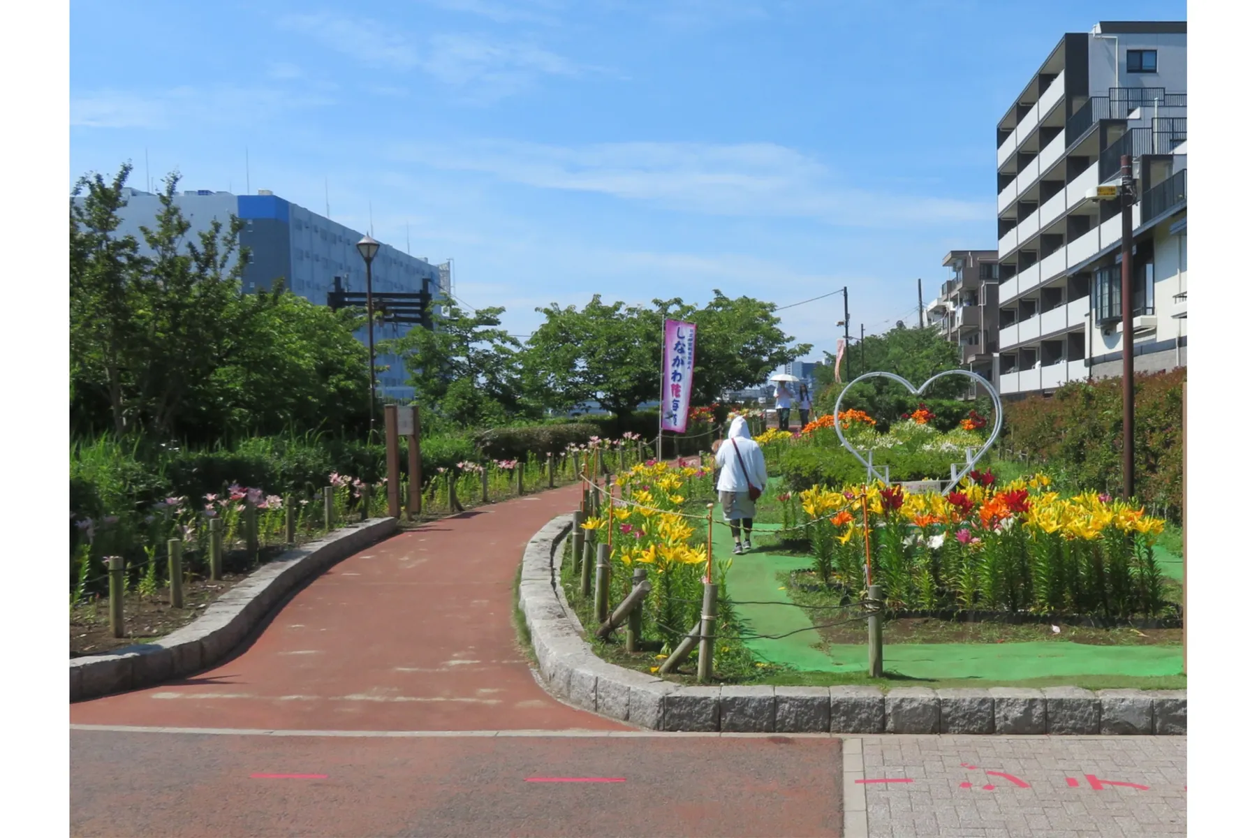 しながわ花海道_10