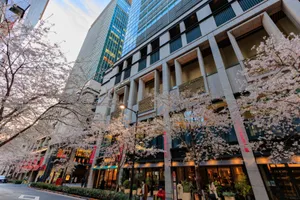 江戸桜通り