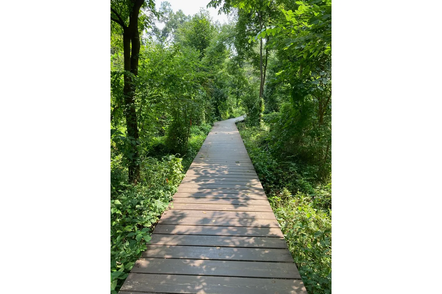 小宮公園_2