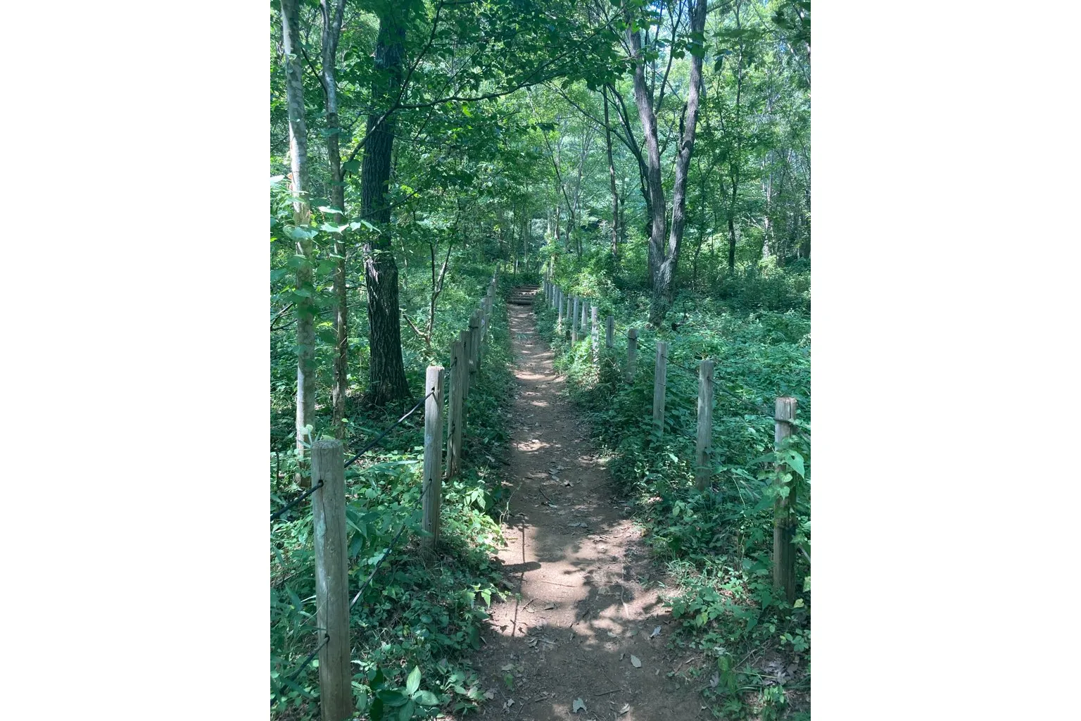 小宮公園_6