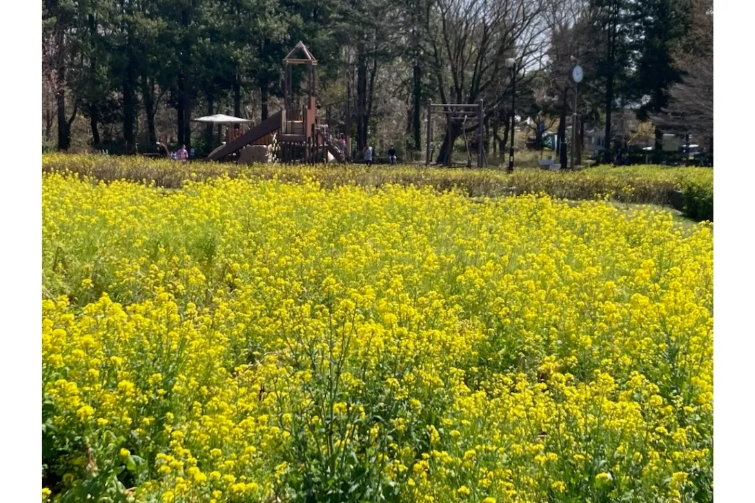 小宮公園_7