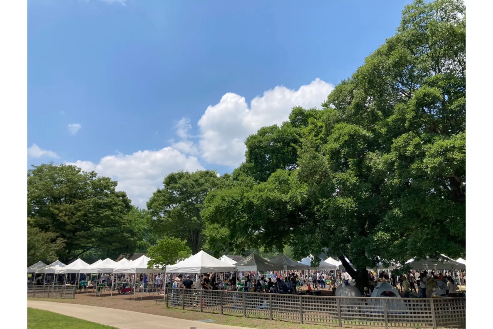 国営昭和記念公園　バーベキューガーデン_6