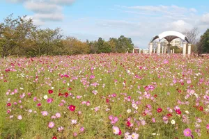 牧の原公園