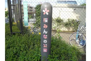 桜みんなの公園