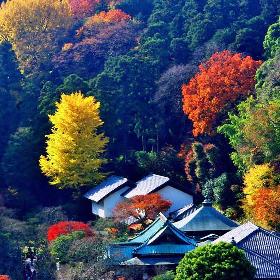 東慶寺(鎌倉市)