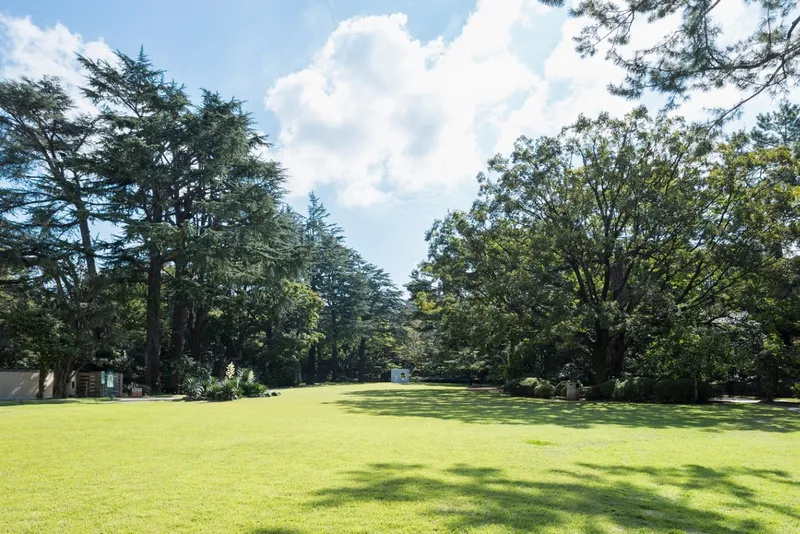 ▲東京都庭園美術館　芝庭（画像提供：東京都庭園美術館）