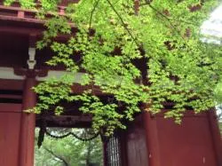 本土寺