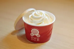 YOKOHAMA BASHAMICHI ICE