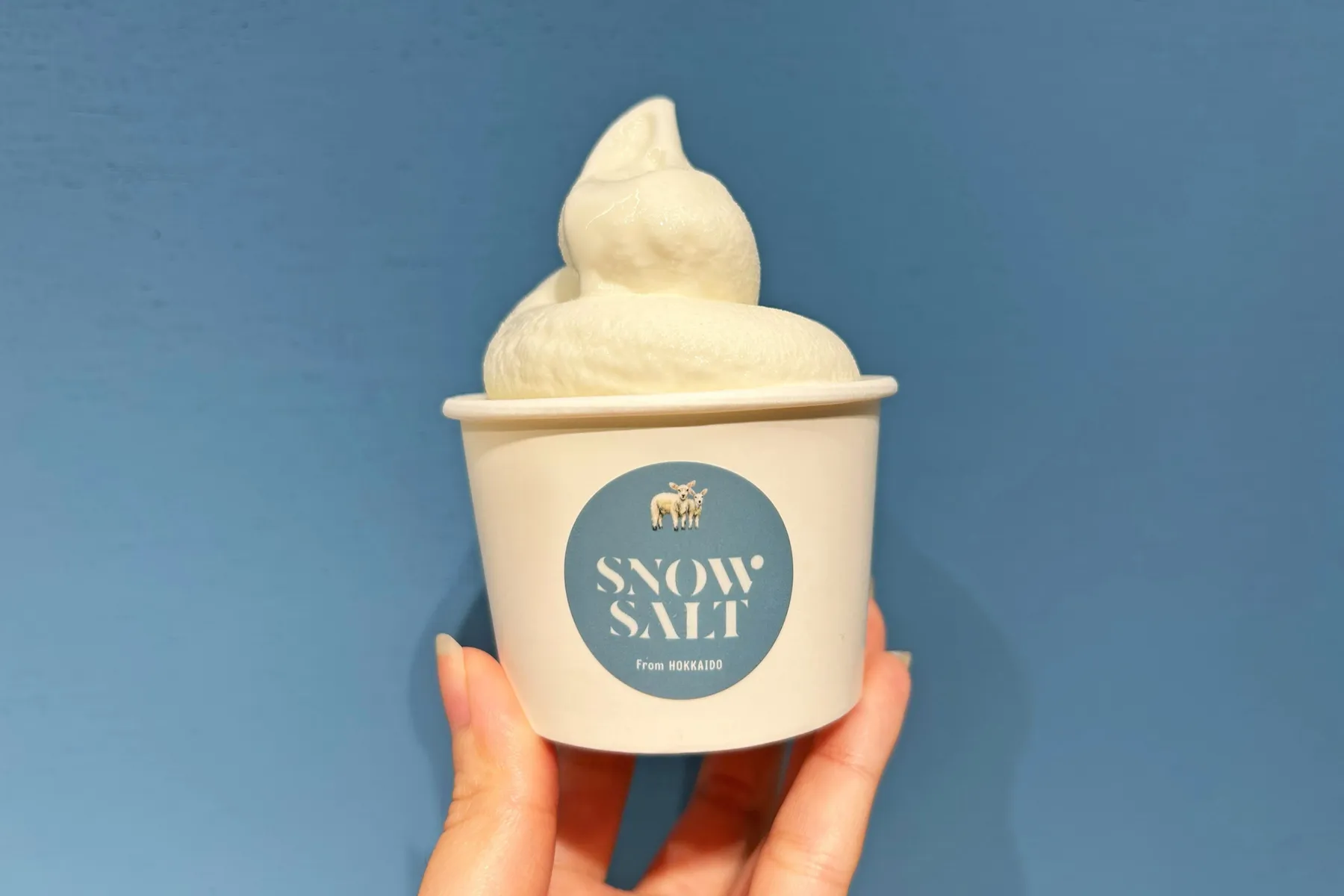 SNOW SALT_2
