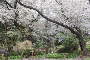 戸山公園