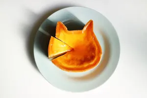 ねこねこチーズケーキ 自由が丘店