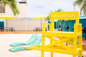 WILDBEACH 川口