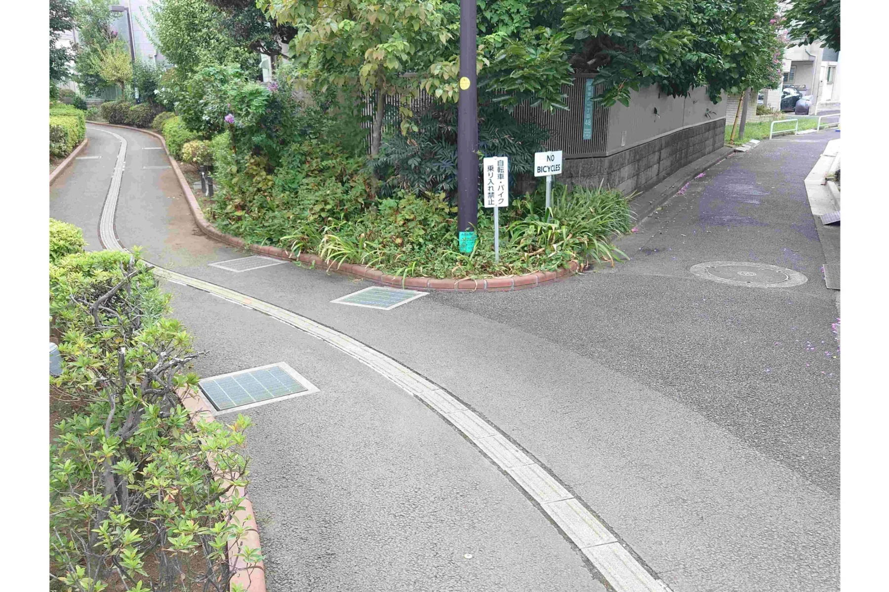 北沢川緑道と松沢支流_1