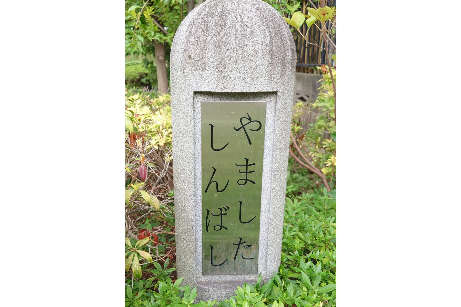 北沢川緑道と松沢支流_2