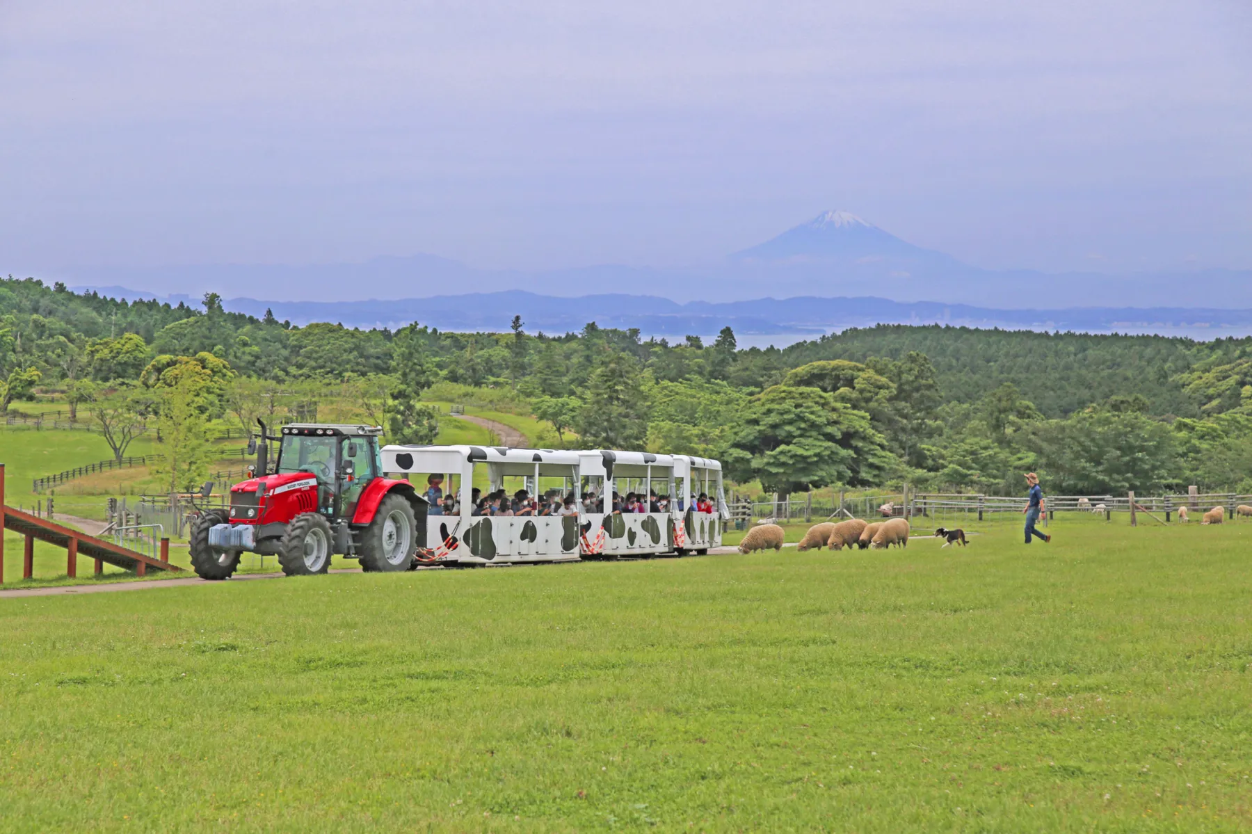 マザー牧場_8