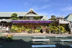 善養寺