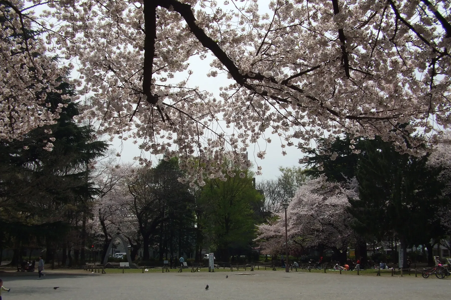 板橋区平和公園_1