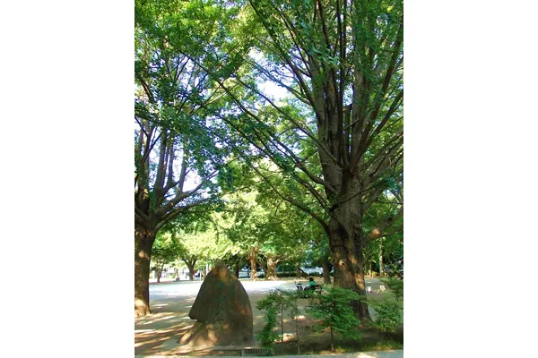 板橋区平和公園_3