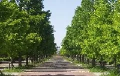 舎人公園_1