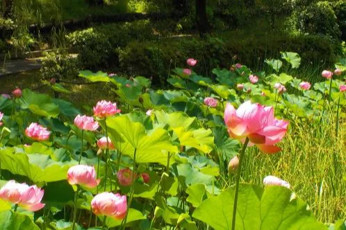 平和の森公園_9