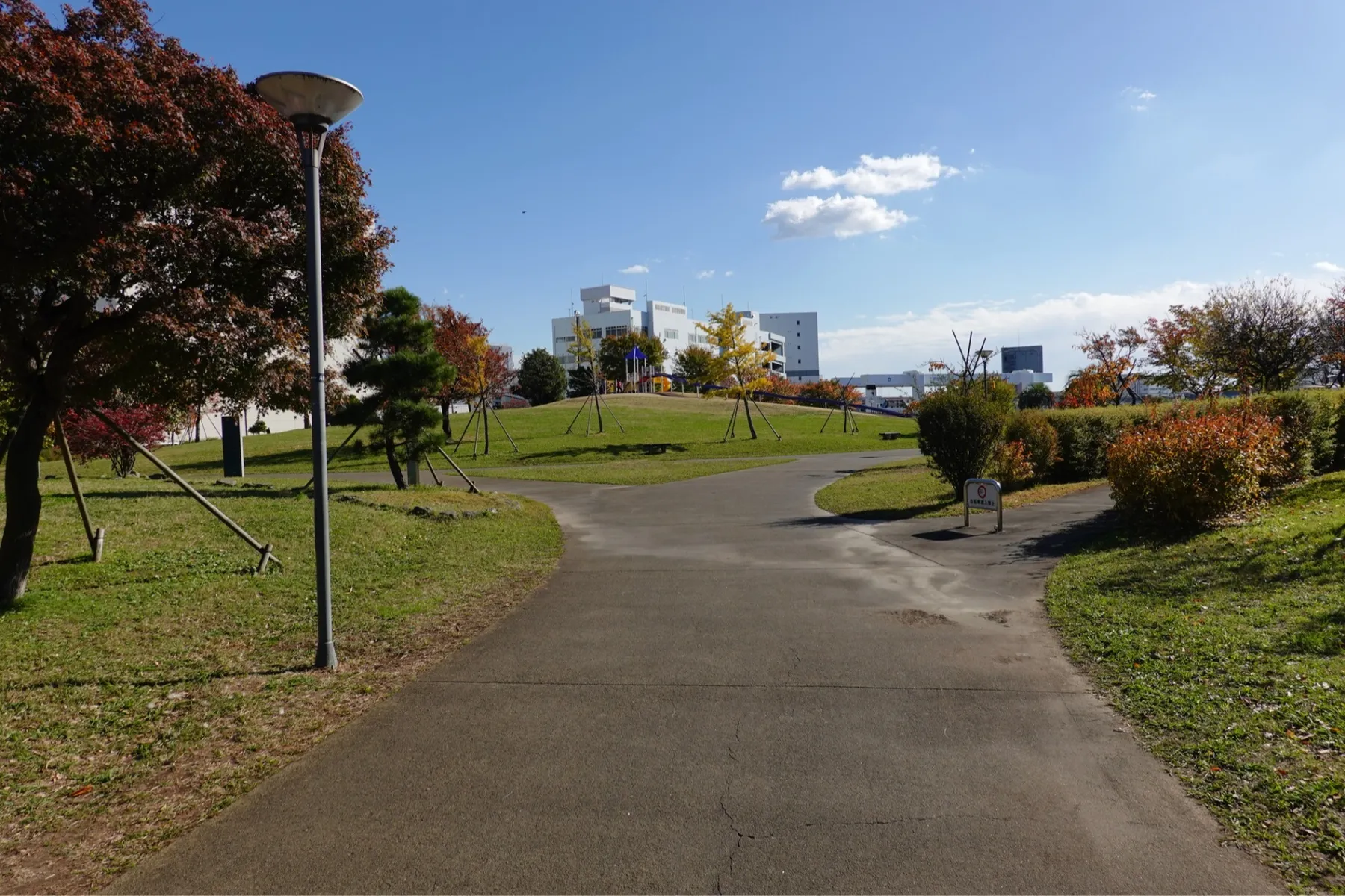 平和の森公園_11