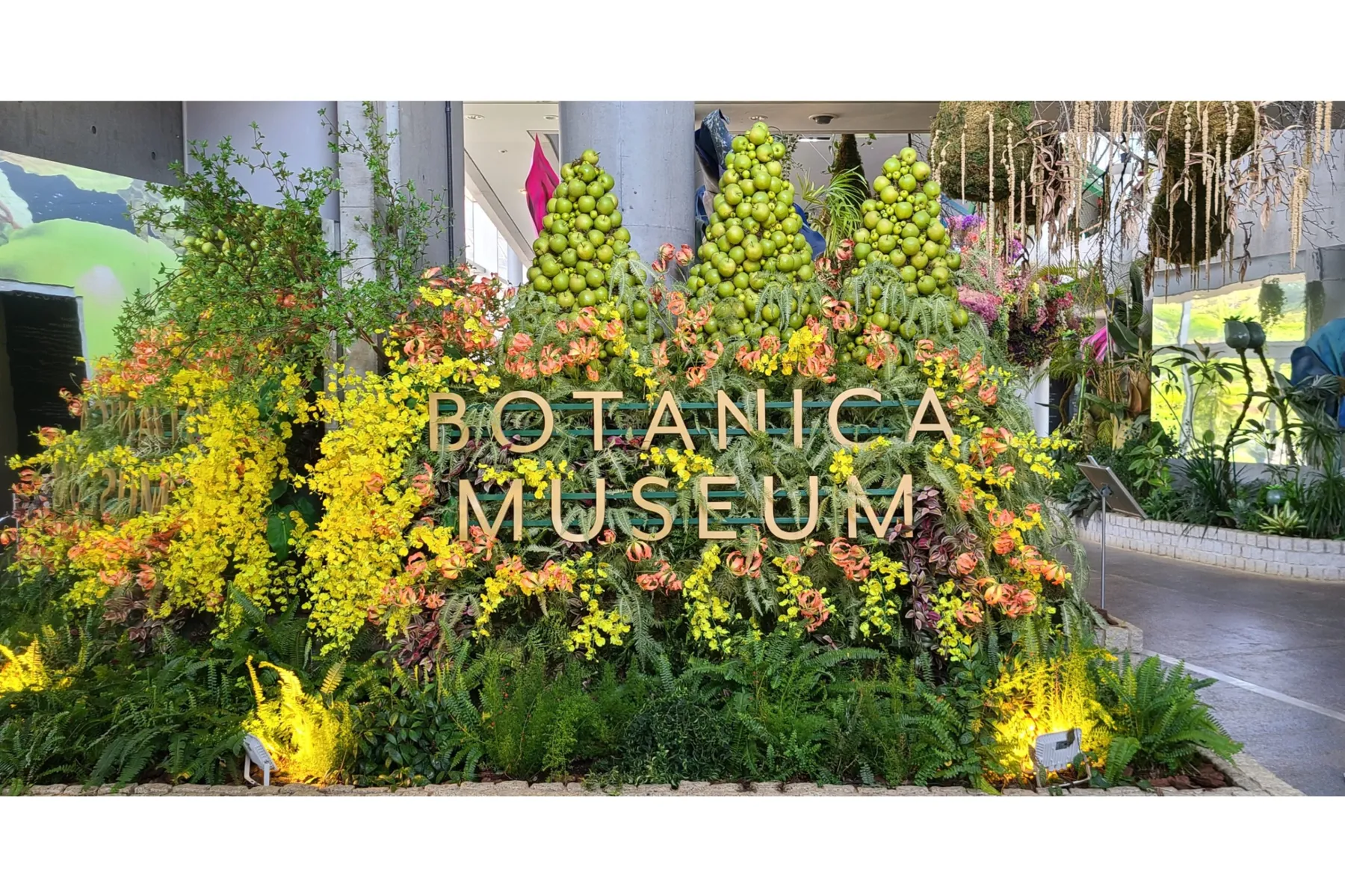BOTANICA MUSEUM（旧千葉市花の美術館）_1